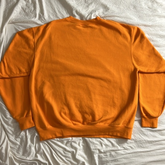 Champion Orange Men's Niagara Falls State Park Sweater - Picture 4 of 4